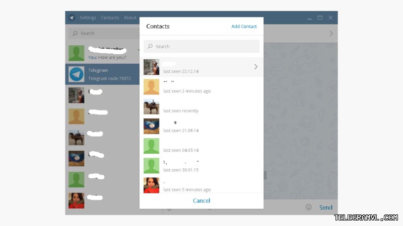 礼品、验证平台及安全功能Telegram支持
