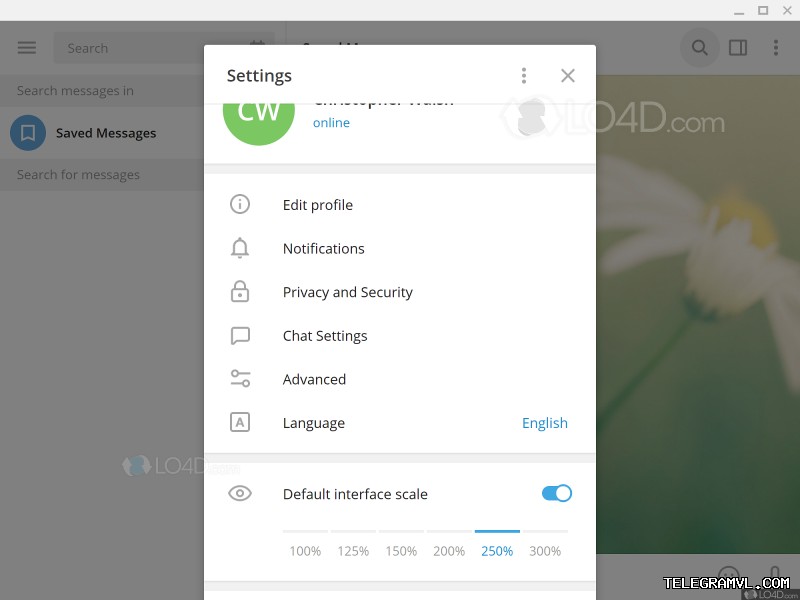 群组主题、可收藏用户名及视频语音转文本Telegram优化